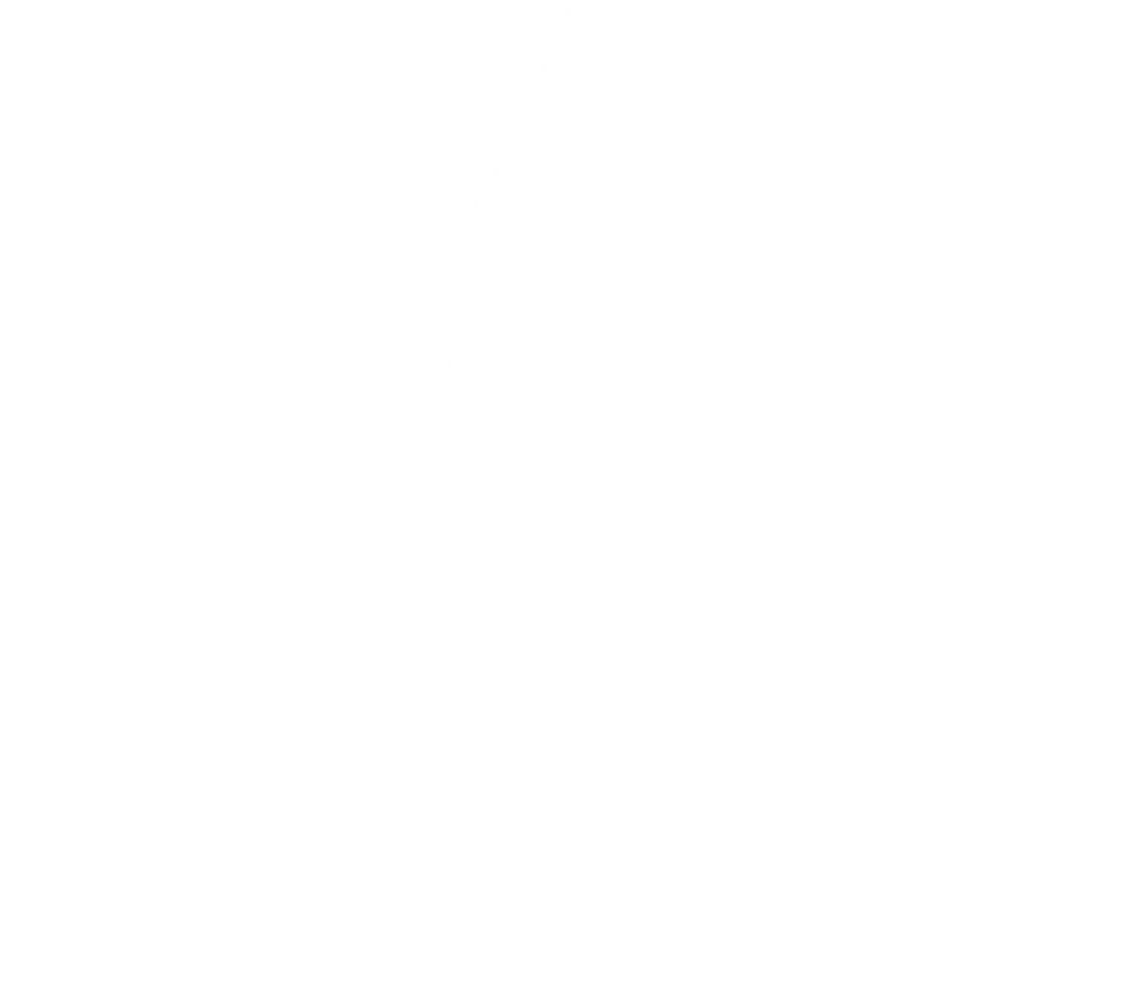 Firstline Solutions Logo